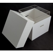 Carry Case for Acrylic Lockable Safe-355 