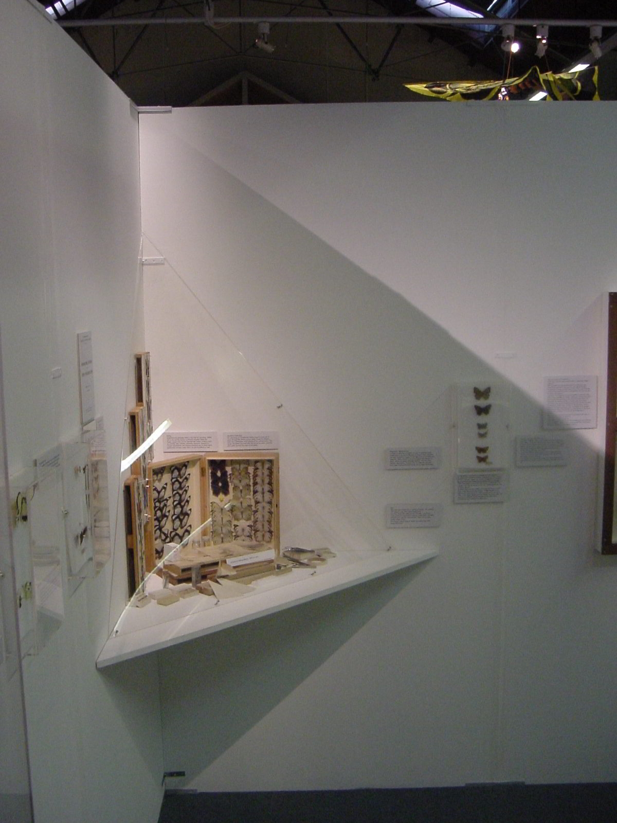 Display Booth
