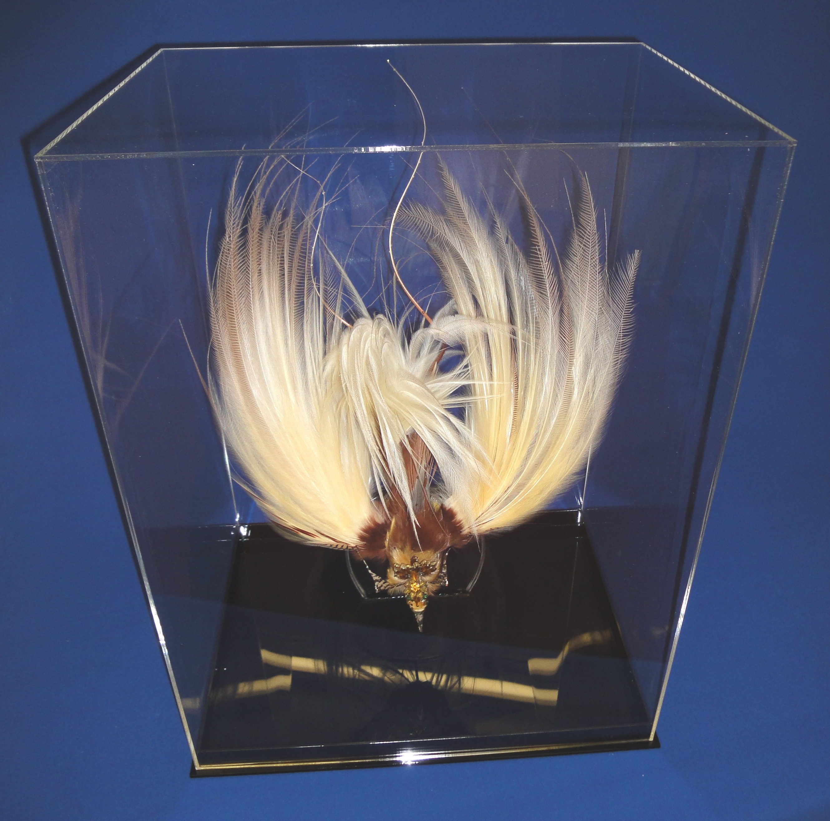 Bird Headdress Display